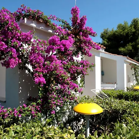 Villaggio Turistico Delfino Vieste