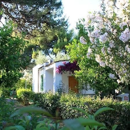 Villaggio Turistico Delfino Semesterpark