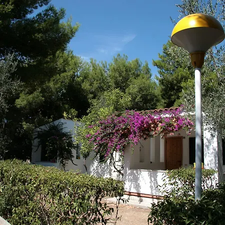 Villaggio Turistico Delfino 3*